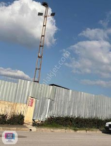 Arsa-Depo, Antrepo İzinli