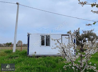 Arsa-Bağ & Bahçe