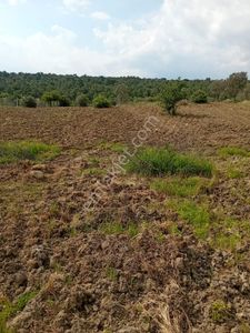 Arsa-Tarla