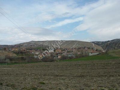 Arsa-Tarla