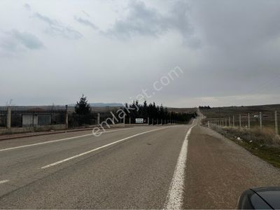 Arsa-Bağ & Bahçe