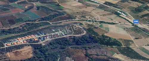 Arsa-Tarla