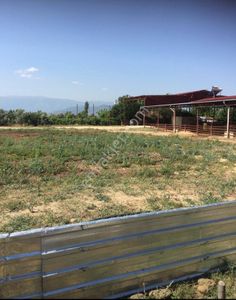 Arsa-Villa İmarlı