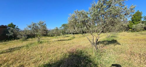 Arsa-Tarla