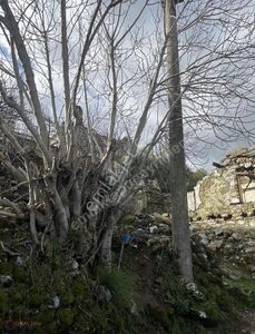 Arsa-Konut İmarlı