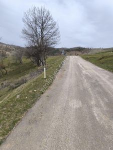 Arsa-Tarla