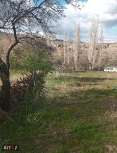 Arsa-Bağ & Bahçe