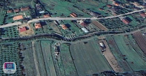 Arsa-Tarla
