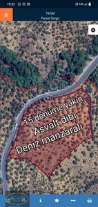 Arsa-Zeytinlik