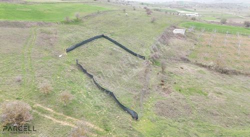 Arsa-Tarla