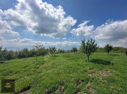 Arsa-Tarla
