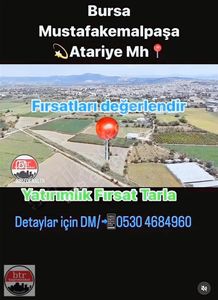 Arsa-Bağ & Bahçe