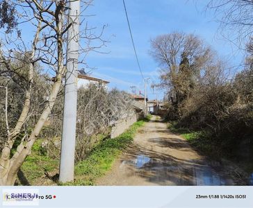 Arsa-Villa İmarlı