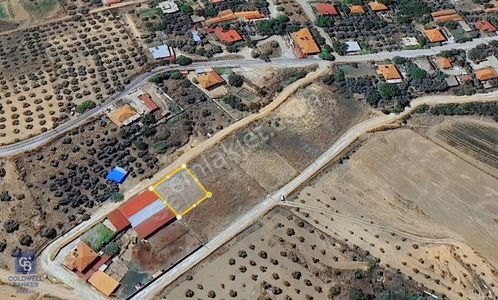 Arsa-Konut İmarlı