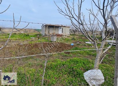 Arsa-Konut İmarlı