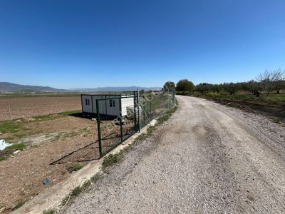 Arsa-Tarla