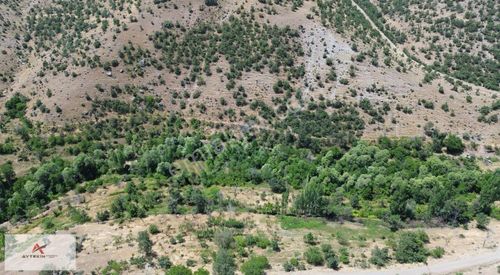 Arsa-Bağ & Bahçe