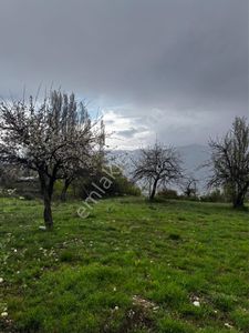 Arsa-Tarla