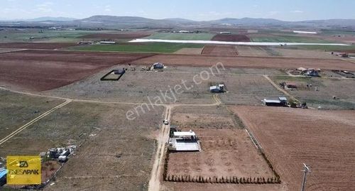 Arsa-Bağ & Bahçe