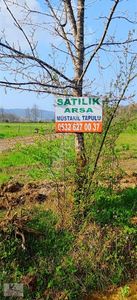 Arsa-Tarla
