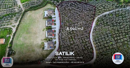 Arsa-Zeytinlik