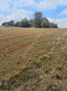 Arsa-Tarla