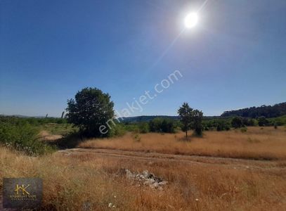 Arsa-Tarla