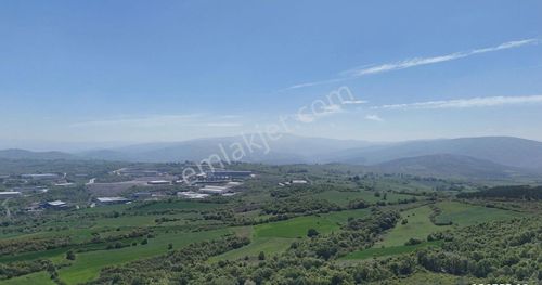 Arsa-Tarla
