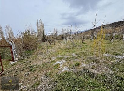 Arsa-Tarla