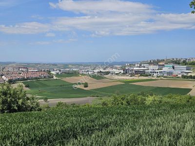 Arsa-Tarla