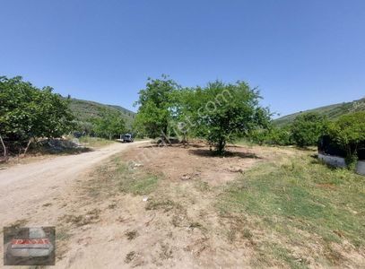 Arsa-Konut İmarlı