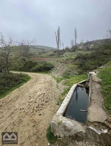 Arsa-Tarla