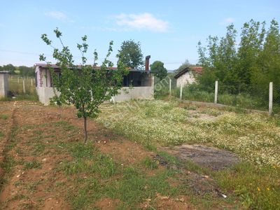 Arsa-Tarla