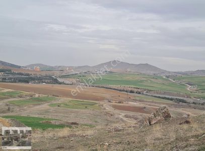 Arsa-Konut İmarlı