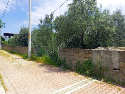 Arsa-Konut İmarlı