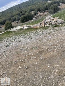 Arsa-Tarla