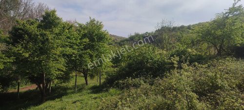 Arsa-Konut İmarlı
