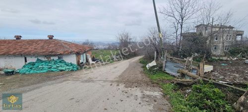 Arsa-Konut İmarlı