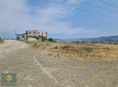 Arsa-Konut İmarlı
