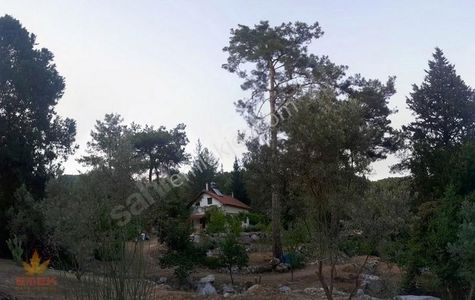 Konut-Müstakil Ev