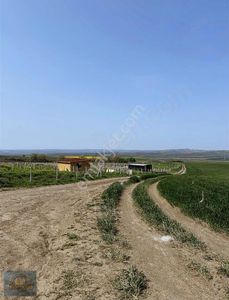 Arsa-Bağ & Bahçe