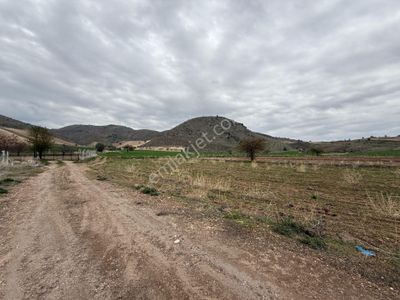 Arsa-Tarla