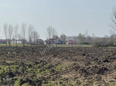 Arsa-Tarla