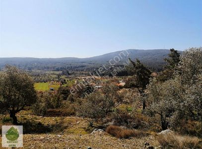 Arsa-Tarla
