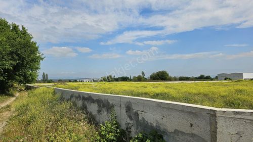 Arsa-Tarla