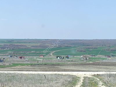 Arsa-Konut İmarlı