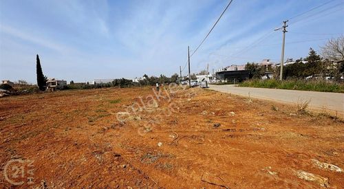 Arsa-Ticari İmarlı