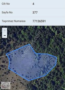 Arsa-Tarla