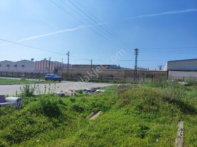 Arsa-Konut+Ticaret Alanı