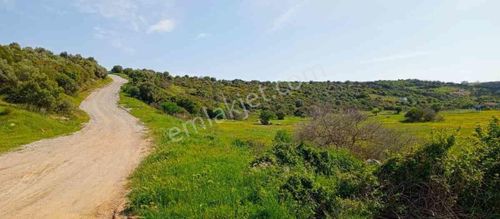 Arsa-Villa İmarlı
